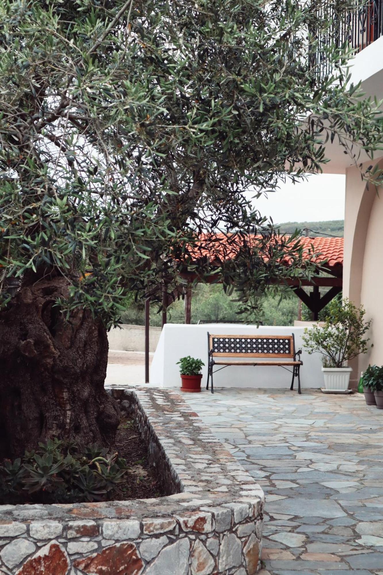 Villa Elea Apartments Spilia  Exterior photo